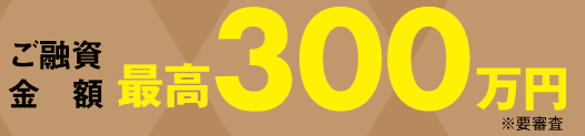 プランネルのホームページ　ご融資金額 最高300万円など