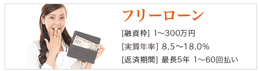 デイリーキャッシングのホームページ 融資額が最大300万円
